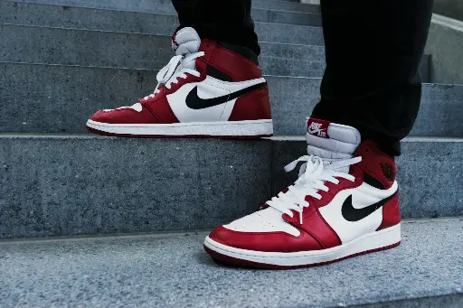 Nike Dunk Low
